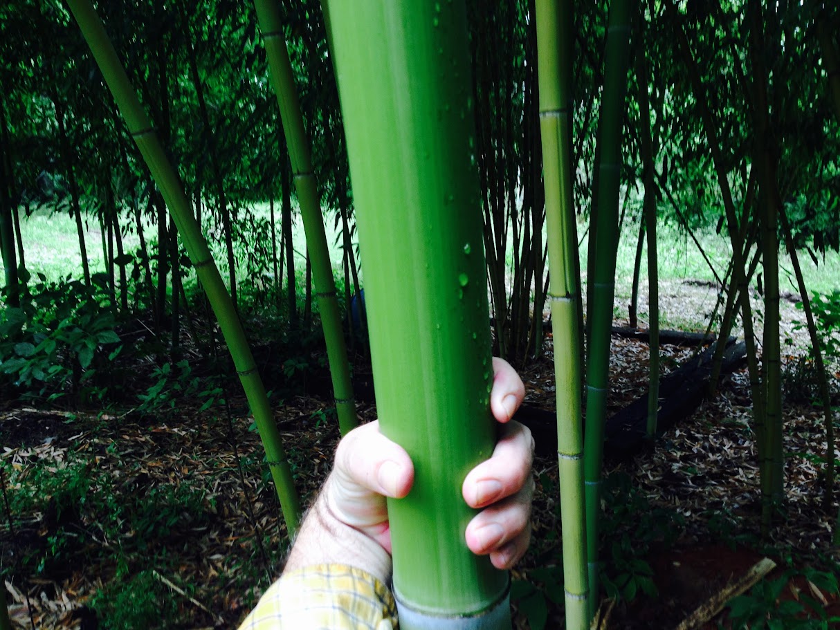 img 0484